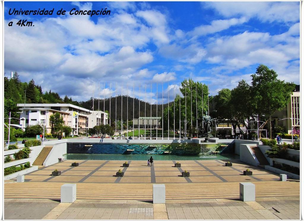 Hotel Casa San Valentin Concepción Esterno foto